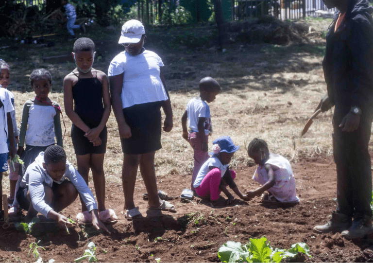 Gardening, health and nutrition SAFE STUDY